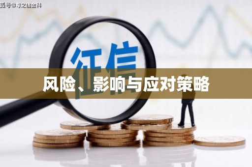 荆州风险、影响与应对策略