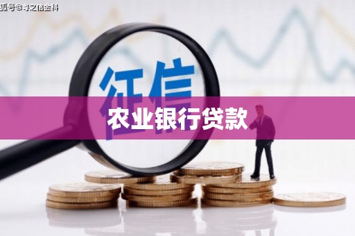 荆州农业银行贷款