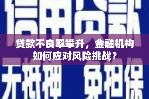 荆州贷款不良率攀升，金融机构如何应对风险挑战？