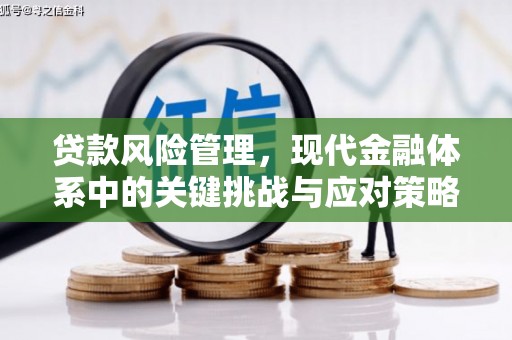 荆州贷款风险管理，现代金融体系中的关键挑战与应对策略