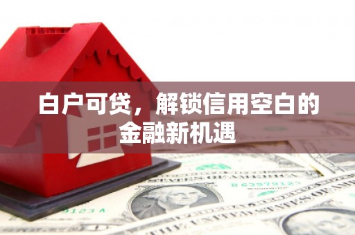 荆州白户可贷，解锁信用空白的金融新机遇