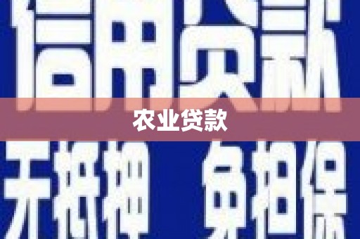 荆州农业贷款