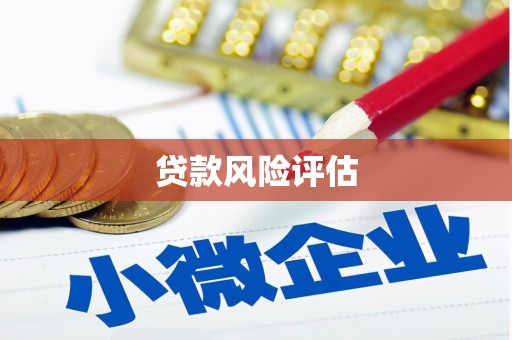荆州贷款风险评估