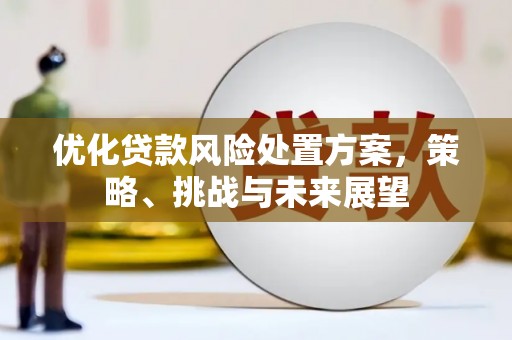 荆州优化贷款风险处置方案，策略、挑战与未来展望