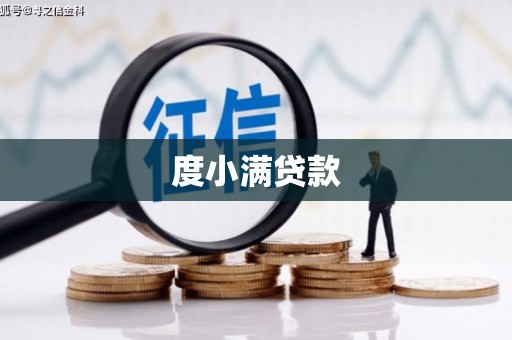 荆州度小满贷款