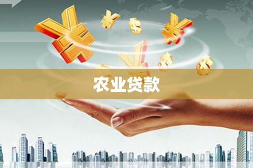 荆州农业贷款