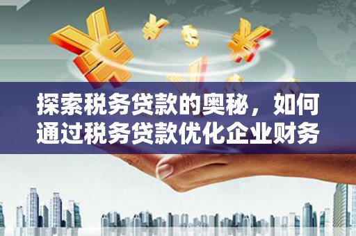 荆州探索税务贷款的奥秘，如何通过税务贷款优化企业财务