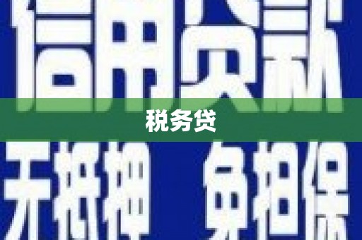 荆州税务贷