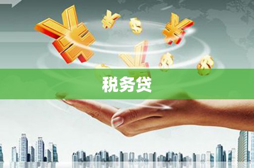 荆州税务贷