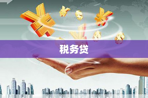 荆州税务贷