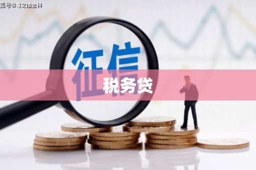 荆州税务贷