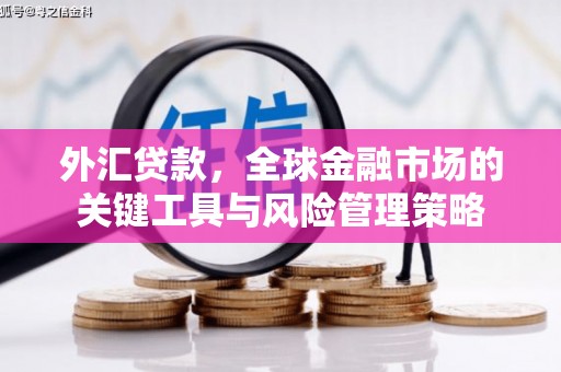 荆州外汇贷款，全球金融市场的关键工具与风险管理策略