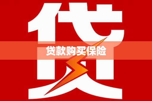 荆州贷款购买保险
