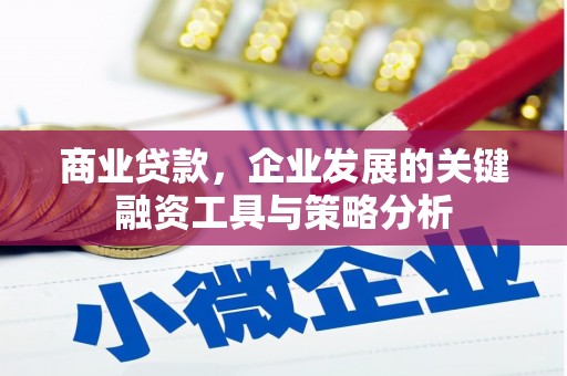 荆州商业贷款，企业发展的关键融资工具与策略分析
