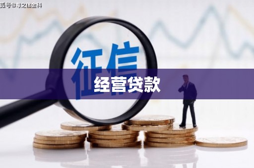 荆州经营贷款