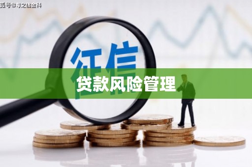 荆州贷款风险管理