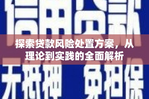 荆州探索贷款风险处置方案，从理论到实践的全面解析