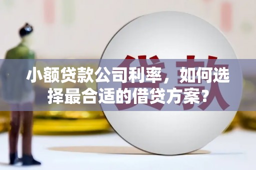 荆州小额贷款公司利率，如何选择最合适的借贷方案？