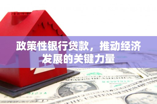 荆州政策性银行贷款，推动经济发展的关键力量