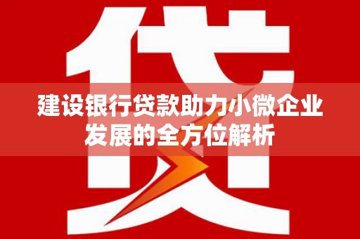 荆州建设银行贷款助力小微企业发展的全方位解析