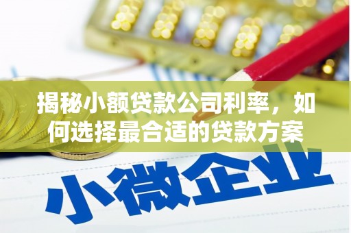 荆州揭秘小额贷款公司利率，如何选择最合适的贷款方案