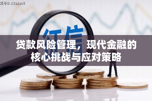 荆州贷款风险管理，现代金融的核心挑战与应对策略