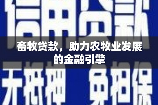 荆州畜牧贷款，助力农牧业发展的金融引擎