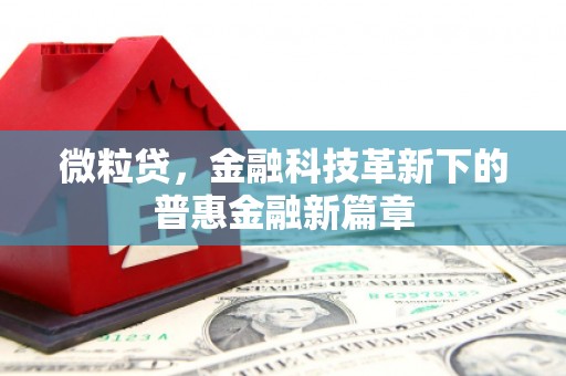 荆州微粒贷，金融科技革新下的普惠金融新篇章