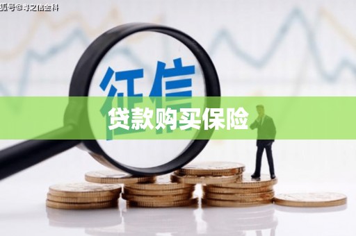 荆州贷款购买保险