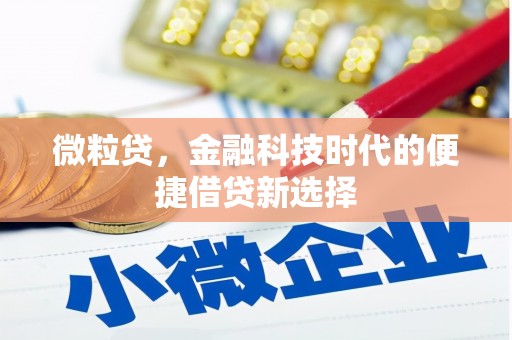 荆州微粒贷，金融科技时代的便捷借贷新选择