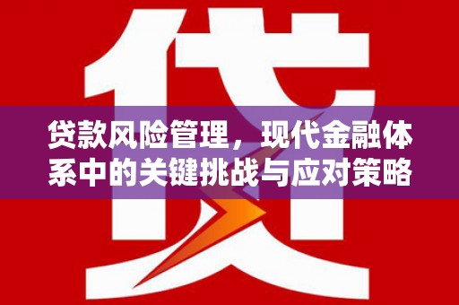 荆州贷款风险管理，现代金融体系中的关键挑战与应对策略