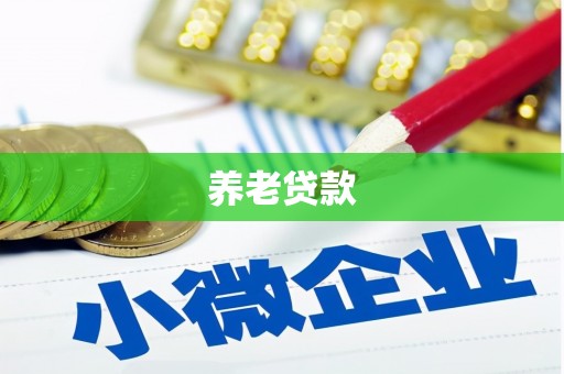 荆州养老贷款