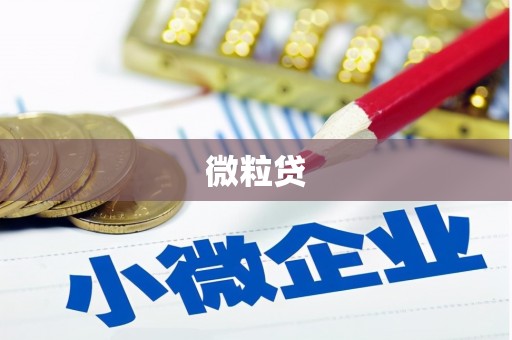 荆州微粒贷