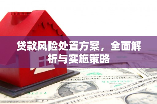 荆州贷款风险处置方案，全面解析与实施策略