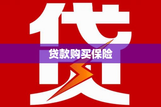 荆州贷款购买保险